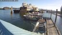 ./images/quadra/hbidock/20250426/hbidock20250426_084009M.jpg