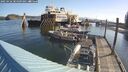 ./images/quadra/hbidock/20250426/hbidock20250426_084509M.jpg
