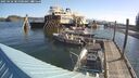 ./images/quadra/hbidock/20250426/hbidock20250426_085000M.jpg