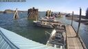 ./images/quadra/hbidock/20250426/hbidock20250426_093507M.jpg