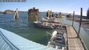 ./images/quadra/hbidock/20250426/hbidock20250426_095007M.jpg