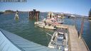 ./images/quadra/hbidock/20250426/hbidock20250426_154000M.jpg