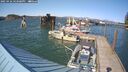 ./images/quadra/hbidock/20250426/hbidock20250426_163008M.jpg