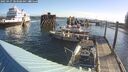 ./images/quadra/hbidock/20250427/hbidock20250427_083508M.jpg