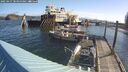 ./images/quadra/hbidock/20250427/hbidock20250427_084000M.jpg