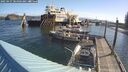 ./images/quadra/hbidock/20250427/hbidock20250427_084506M.jpg