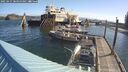 ./images/quadra/hbidock/20250427/hbidock20250427_085000M.jpg