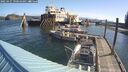 ./images/quadra/hbidock/20250427/hbidock20250427_090010M.jpg