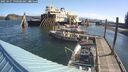 ./images/quadra/hbidock/20250427/hbidock20250427_090508M.jpg