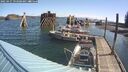 ./images/quadra/hbidock/20250427/hbidock20250427_093508M.jpg