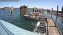 ./images/quadra/hbidock/20250427/hbidock20250427_095000M.jpg