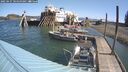 ./images/quadra/hbidock/20250427/hbidock20250427_104500M.jpg