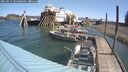 ./images/quadra/hbidock/20250427/hbidock20250427_104508M.jpg