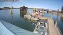 ./images/quadra/hbidock/20250427/hbidock20250427_153508M.jpg
