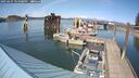 ./images/quadra/hbidock/20250427/hbidock20250427_155008M.jpg