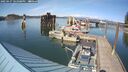 ./images/quadra/hbidock/20250427/hbidock20250427_161008M.jpg