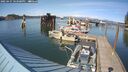 ./images/quadra/hbidock/20250427/hbidock20250427_163508M.jpg