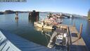 ./images/quadra/hbidock/20250427/hbidock20250427_182000M.jpg
