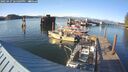 ./images/quadra/hbidock/20250427/hbidock20250427_185009M.jpg