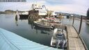 ./images/quadra/hbidock/20250505/hbidock20250505_111500M.jpg