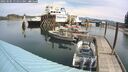 ./images/quadra/hbidock/20250505/hbidock20250505_111511M.jpg