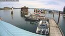 ./images/quadra/hbidock/20250505/hbidock20250505_113011M.jpg