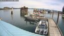 ./images/quadra/hbidock/20250505/hbidock20250505_113500M.jpg