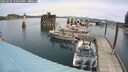 ./images/quadra/hbidock/20250505/hbidock20250505_121000M.jpg