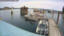 ./images/quadra/hbidock/20250505/hbidock20250505_121010M.jpg