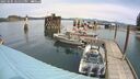 ./images/quadra/hbidock/20250505/hbidock20250505_121511M.jpg