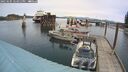 ./images/quadra/hbidock/20250505/hbidock20250505_124010M.jpg