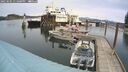 ./images/quadra/hbidock/20250505/hbidock20250505_131000M.jpg