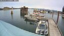 ./images/quadra/hbidock/20250505/hbidock20250505_133500M.jpg