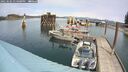./images/quadra/hbidock/20250505/hbidock20250505_134500M.jpg