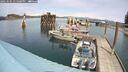 ./images/quadra/hbidock/20250505/hbidock20250505_135000M.jpg