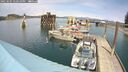 ./images/quadra/hbidock/20250505/hbidock20250505_140510M.jpg