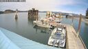 ./images/quadra/hbidock/20250505/hbidock20250505_143510M.jpg