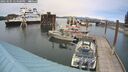 ./images/quadra/hbidock/20250505/hbidock20250505_144500M.jpg