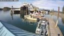./images/quadra/hbidock/20250505/hbidock20250505_165509M.jpg