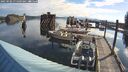 ./images/quadra/hbidock/20250506/hbidock20250506_075009M.jpg