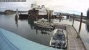 ./images/quadra/hbidock/20250506/hbidock20250506_085010M.jpg