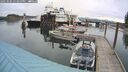 ./images/quadra/hbidock/20250506/hbidock20250506_123500M.jpg