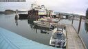 ./images/quadra/hbidock/20250506/hbidock20250506_125510M.jpg