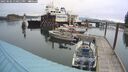 ./images/quadra/hbidock/20250506/hbidock20250506_130011M.jpg