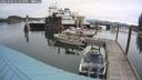 ./images/quadra/hbidock/20250506/hbidock20250506_131010M.jpg