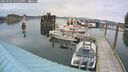 ./images/quadra/hbidock/20250506/hbidock20250506_141511M.jpg