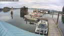 ./images/quadra/hbidock/20250506/hbidock20250506_153011M.jpg