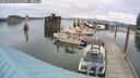 ./images/quadra/hbidock/20250506/hbidock20250506_153510M.jpg