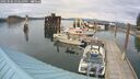 ./images/quadra/hbidock/20250506/hbidock20250506_163510M.jpg