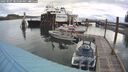 ./images/quadra/hbidock/20250507/hbidock20250507_085001M.jpg
